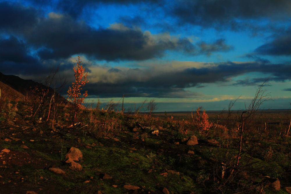 попейзажим